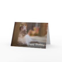 Carte d'anniversaire de Ragdoll