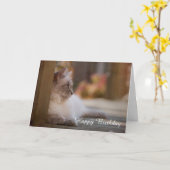 Carte d'anniversaire de Ragdoll (Fleur jaune)