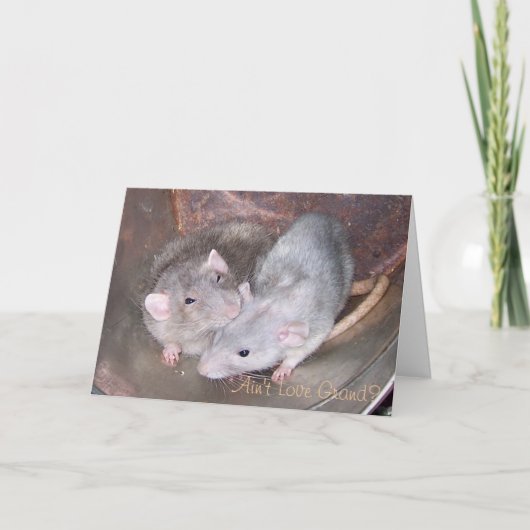 Carte d'anniversaire de rat d'animal familier (Devant)