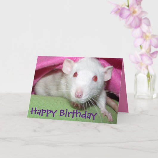 Carte d'anniversaire de rat Dumbo blanc (Orchidée)