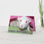Carte d'anniversaire de rat Dumbo blanc (Devant)