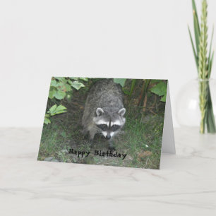 Carte d'anniversaire de raton laveur intelligent