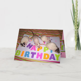 Carte d'anniversaire de rats ! v1