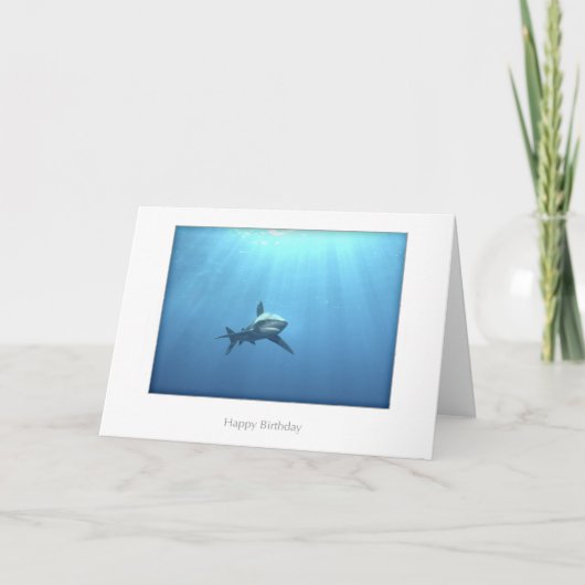Carte d'anniversaire de requin océanique blanc (Devant)