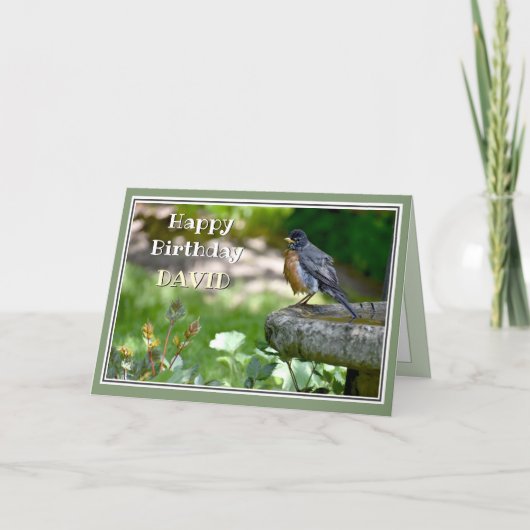 Carte d'anniversaire de Robin Funny (Devant)