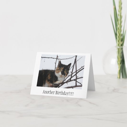 Carte d'anniversaire de Ronronnement-fect (Devant)
