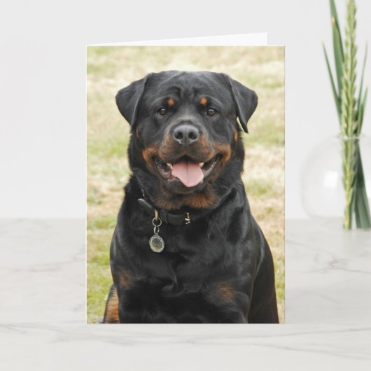 Carte d'anniversaire de rottweiler (Devant)