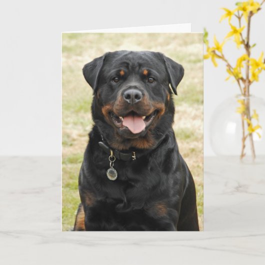 Carte d'anniversaire de rottweiler (Fleur jaune)