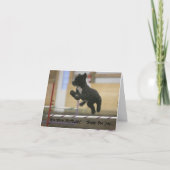 Carte d'anniversaire de saut d'agilité PWD (Devant)