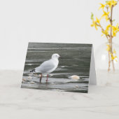 Carte d'anniversaire de Seagull (Fleur jaune)