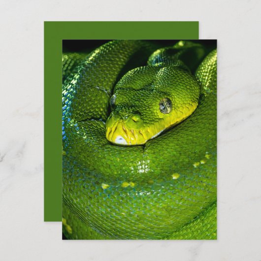 Carte d'anniversaire de serpent Joyeux serpent d'a (Devant / Derrière)