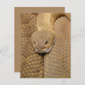 Carte d'anniversaire de serpent Joyeux serpent d'a (Devant / Derrière)