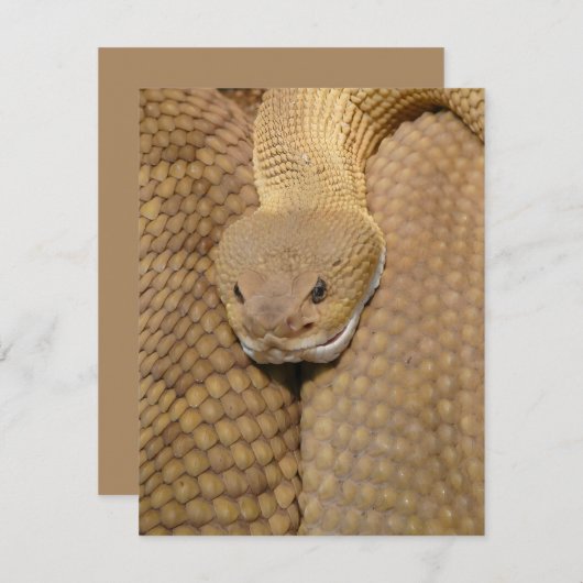 Carte d'anniversaire de serpent Joyeux serpent d'a (Devant / Derrière)