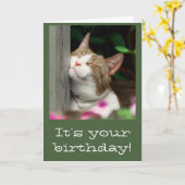 Carte d'anniversaire de sourire de chat (Fleur jaune)