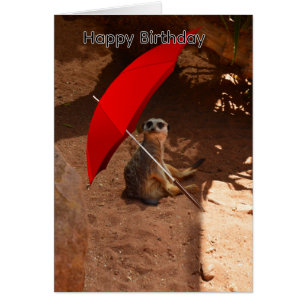 Carte d'anniversaire de suricate sous un parapluie