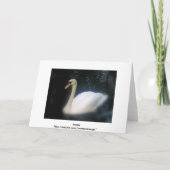 Carte d'anniversaire de Swan (Dos)