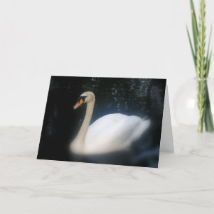 Carte d'anniversaire de Swan