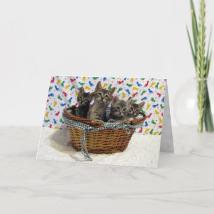 Carte d'anniversaire de Tabbies