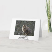 Carte d'anniversaire de Tabby Cat à Long Haired (Dos)