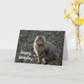Carte d'anniversaire de Tabby Cat à Long Haired (Fleur jaune)