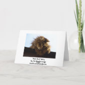 Carte d'anniversaire de Tabby Cat à Long Haired (Dos)