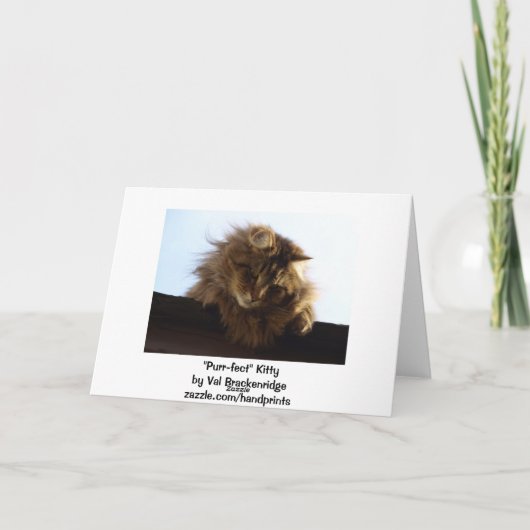 Carte d'anniversaire de Tabby Cat à Long Haired (Dos)