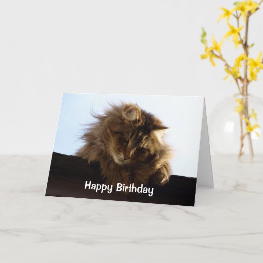 Carte d'anniversaire de Tabby Cat à Long Haired (Fleur jaune)