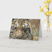 Carte d'anniversaire de tigre clôturé (h) (Fleur jaune)