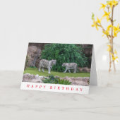 Carte d'anniversaire de tigres blancs (Fleur jaune)