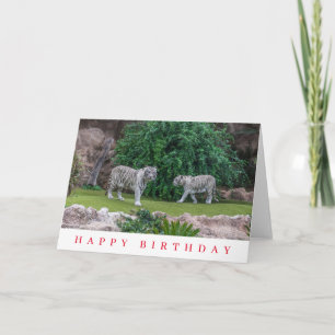 Carte d'anniversaire de tigres blancs