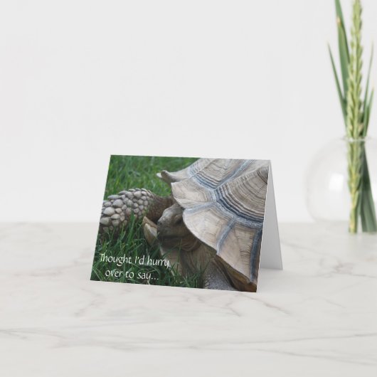 Carte d'anniversaire de Tortoise (Devant)