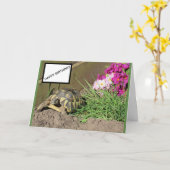 Carte d'anniversaire de Tortoise (Fleur jaune)