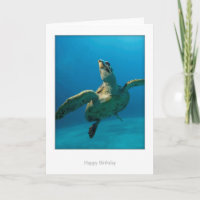 Carte d'anniversaire de tortue