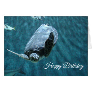 Carte d'anniversaire de tortue et de requin de