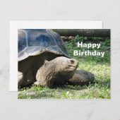 Carte d'anniversaire de tortue faunique (Devant / Derrière)