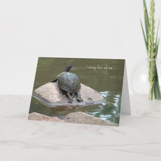 carte d'anniversaire de tortue lente (Devant)