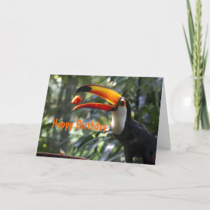 Carte d'anniversaire de toucan de Toco