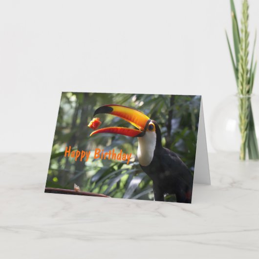 Carte d'anniversaire de toucan de Toco (Devant)