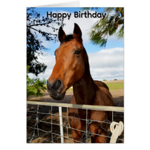 Carte d'anniversaire de Tulip le cheval bai brun