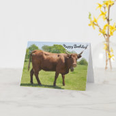 Carte d'anniversaire de vache de vente (Fleur jaune)