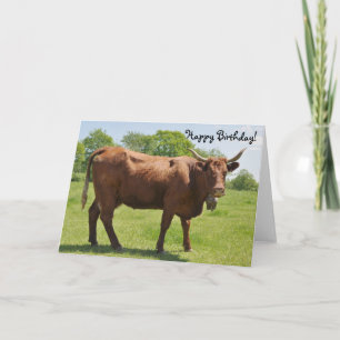 Carte d'anniversaire de vache de vente