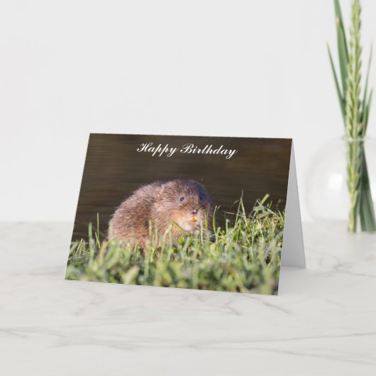 Carte d'anniversaire de vole d'eau mignonne (Devant)
