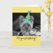 Carte d'anniversaire de Yorkie Dog (Fleur jaune)