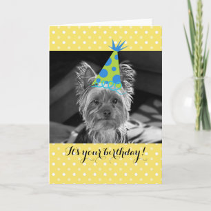Carte d'anniversaire de Yorkie Dog