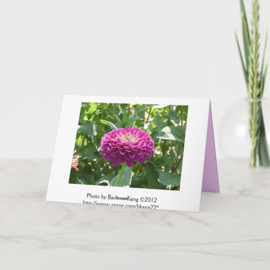 Carte d'anniversaire de Zinnia (Dos)