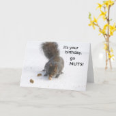 Carte d'anniversaire d'écureuil amusant - Go nut (Fleur jaune)