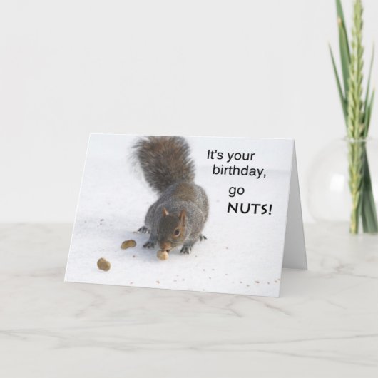 Carte d'anniversaire d'écureuil amusant - Go nut (Devant)