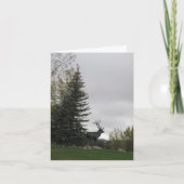 Carte d'anniversaire d'élans (Devant)