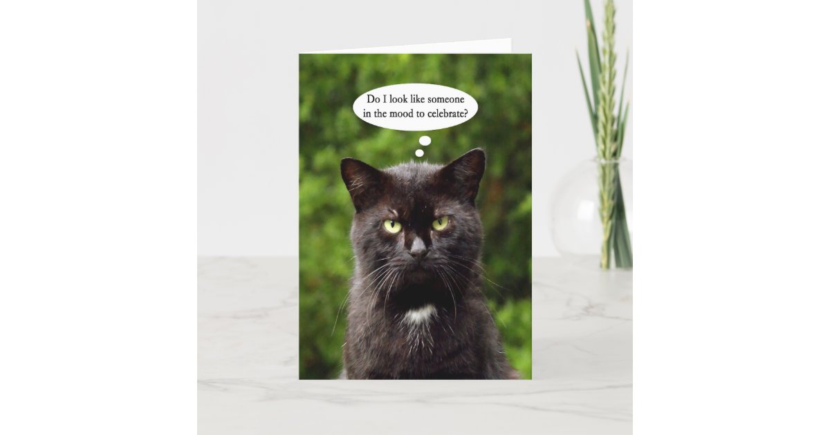 Carte D Anniversaire Deprimee Drole De Chat Noir Zazzle Be Carte D Anniversaire Deprimee Drole De Chat Noir Zazzle Be