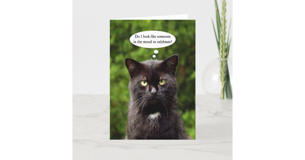 Carte D Anniversaire Deprimee Drole De Chat Noir Zazzle Be